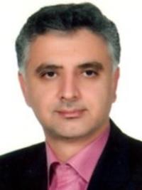 حمیدرضا سیفی